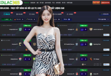 Stay Updated with the Best Football Scores on Xoi Lac TV and Accurate Kqbd Why Kqbd is the Heartbeat of the Fan Experience