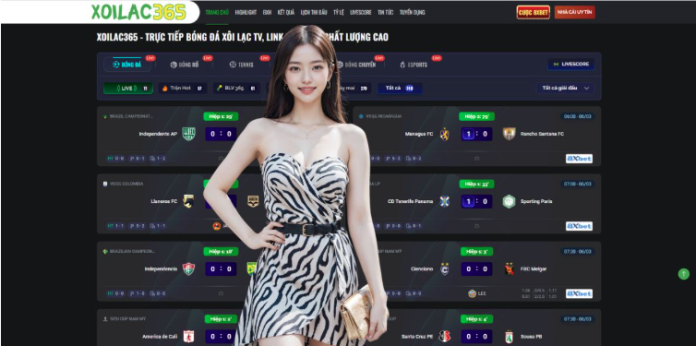 Why Kqbd is the Heartbeat of the Fan Experience